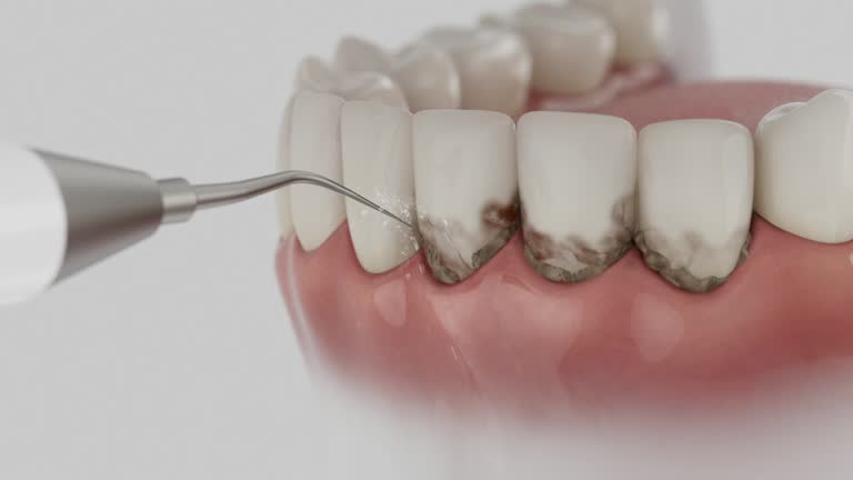Reliable Dental contractor in Kings Grant, NC by Dentist Open Now